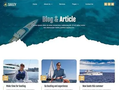Blog & Article