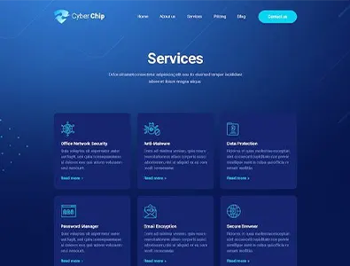 Cyberchp Web  Security 
