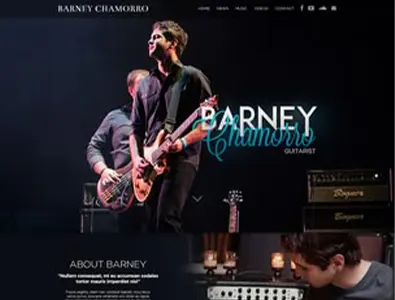 Guitarist Portfolio