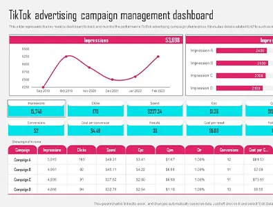 tiktok advertising campaign management tiktok advertising campaign management