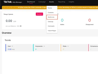 tiktok custom audience tiktok custom audience