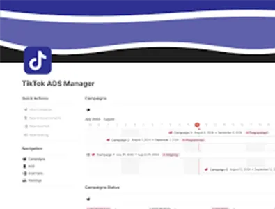 Tiktok ads manager